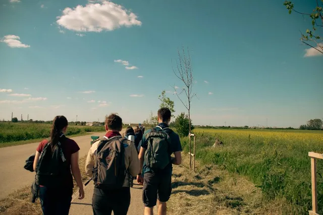 Atelier practic în natură